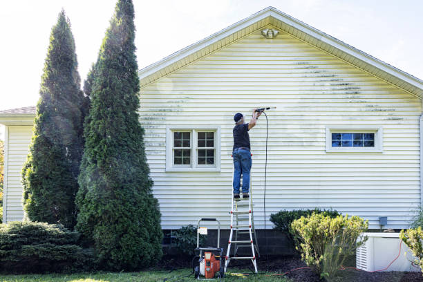 Professional Pressure Washing in Arnaudville, LA